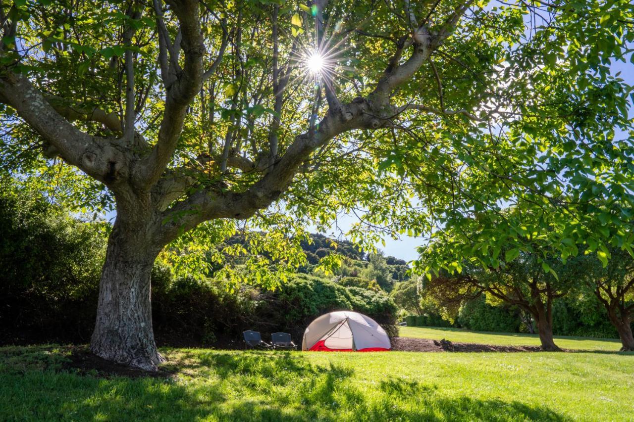 Akaroa Top 10 Holiday Park Hotell Exteriör bild